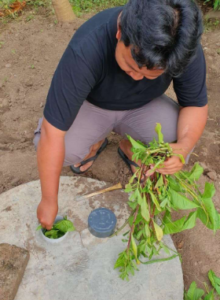 img 2026-04-15 144912